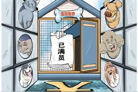 宠物寄养价格快赶上酒店仍一窝难求，专家就宠物运载提建议图片