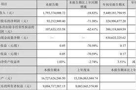 川发龙蟒：2023年前三季度净利润3.25亿元 同比下降70.82%图片