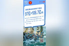 97+106.7，茂名渔业迈向两个百亿｜数说“丰”年图片
