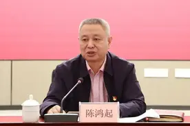 陈鸿起落马图片