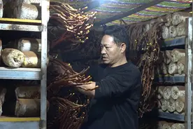 乡村行看振兴 | 嘉禾县珠泉镇平世村：特色产业“多点开花” 绘就乡村振兴“好钱景”图片