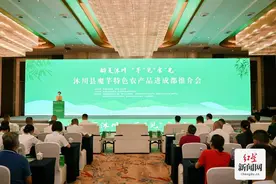这盘火锅必选菜年创汇2400万美元！“中国魔芋之乡”在成都绽放魅力图片