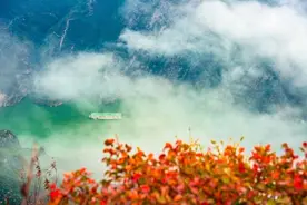 重庆奉节：夔门红叶美景如画图片