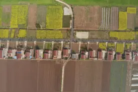 党政“一把手”谈耕地保护｜岳阳市君山区：筑牢粮食安全之基 彰显“一江碧水”之美图片