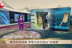 数字科技赋能 甲骨文研究跑出“加速度”视频封面