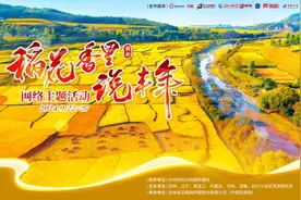 稻花香里说丰年｜中国味道图片