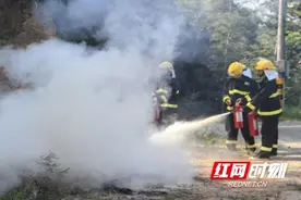 桃江县马迹塘镇开展2024年森林防灭火应急演练图片