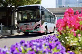 樱花季限定款！坐上“樱花车”体验不一样的“花”路，运营时间、购票攻略→图片