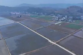 【守初心 强“四力” 助发展】资阳雁江：“粮田”变“良田” “丰景”入画来图片