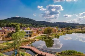 常州溧阳：清明踏春“村”游，乡村旅游“火出圈”图片