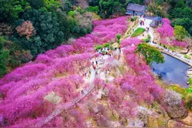 福建春季赏花10大精品线路来啦！快收藏→图片