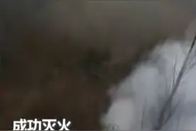 丢烟头可能获刑、雷击火咋逃生，踏春进山应急部给出自救指南图片