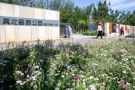 北京今年将建设20处花园城市示范街区图片