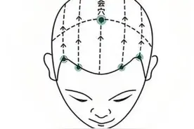头为诸阳之会！春季阳气升发，做好头部保健很重要图片