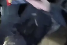 邯郸出逃黑熊已找到，安全转移至动物园内！此前从笼舍脱离图片
