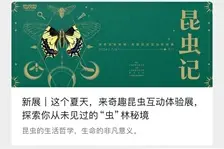 即将开抢，超火爆！2025市民艺术夜校春季班开启招生啦！图片