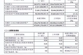 三大运营商2024年半年报全部出炉，业绩稳健增长彰显行业活力图片