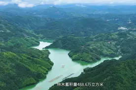 周宁：“云”上巡山 护林有“数”图片