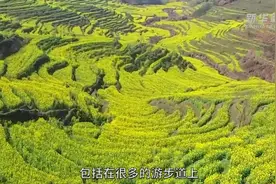 乡村新引力 | “诗与远方”焕活古村图片