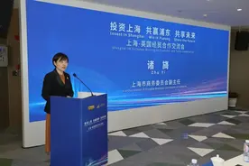 投资上海 共赢浦东 共享未来——上海英国经贸合作交流会成功举办！图片