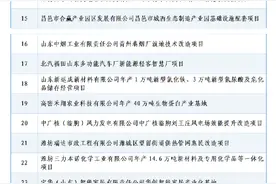 速看！潍坊公布2025年市级以上重点项目图片