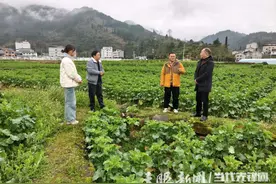 遵义市生态环境局绥阳分局扎实开展禁毒帮扶工作图片