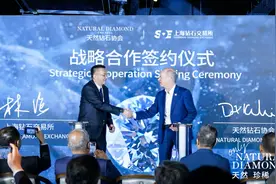 上海钻石交易所总裁林强：天然钻石与培育钻石可以和平共处图片