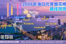 时隔13年！海口烟花秀回归图片