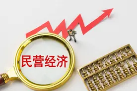 闪电评论丨打好组合拳、塑造新优势，让民营经济成为高质量发展的硬核力量图片