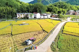聚力环南昆山—罗浮山 县镇村高质量发展引领区建设系列报道②| 抢抓发展新机遇 绘就富美新画卷图片