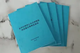 深圳龙华司法局发布《龙华区推进公共法律服务高质量发展典型案例》图片