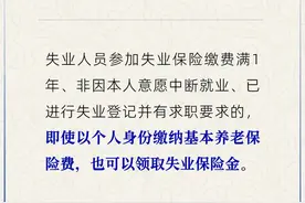 以个人身份缴纳养老保险费后，能否领失业保险金？图片