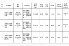 合肥三宗热门地块即将开拍图片