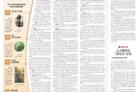 塔里木盆地是“历史文化聚宝盆”，这个“盆”里都有什么宝？图片