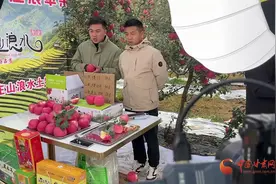 庄浪：电商助农增收 苹果香传千里图片