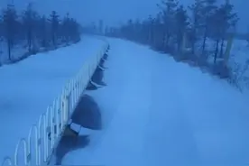 白茫茫一片，北京的雪降在这里了！部分公交停驶，今天仍有雨雪！图片