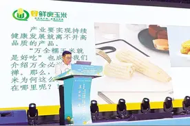 专家论道鲜食玉米产业发展图片