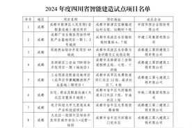 扩面增量，四川公布49个2024年度省级智能建造试点项目图片