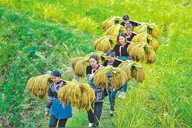 大地上的劳动“交响曲”图片