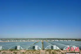 通讯：为“世界藻都”护航的气象员图片