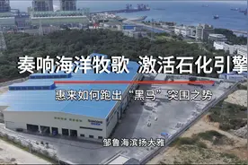 两大巨无霸产业集群坐镇惠来，临海石化崛起“超级链主”图片
