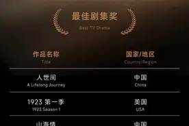 张嘉益、堺雅人、凯特·温斯莱特、刘亦菲……金熊猫奖电视剧单元提名揭晓图片