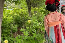 洛阳汉服热：古城内满是“贵妃”，汽车配件店改开汉服店图片