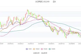 大洋电机：2024年上半年净利润同比增长15.57% 拟10派0.6元图片