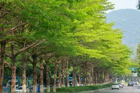 没什么雨但天气闷热，周末外出要防晒图片