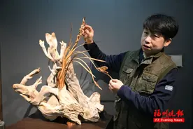 惊艳！树根变兰花！来自福建的他首创图片