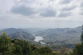 这届年轻人盯上了成都龙泉山打野 挖野葱火火火了图片