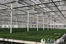 贵州贵阳：聚焦“五个重点”抓实春耕备耕图片