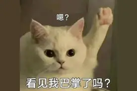 防诈小课堂 | 刷单还返利？诈骗“高发季”！图片