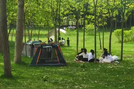 河北：开放共享城市绿地打造宜居生活环境图片